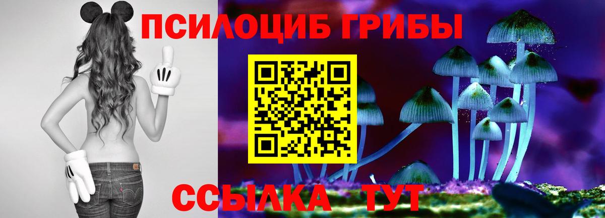 Строитель  Галлюциногенные грибы мицелий  Галлюциногенные грибы ЛСД  Вход с VPN 